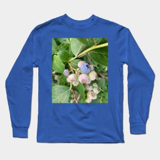 Ripening Blueberries Long Sleeve T-Shirt